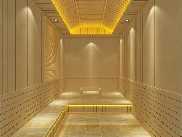 sauna
