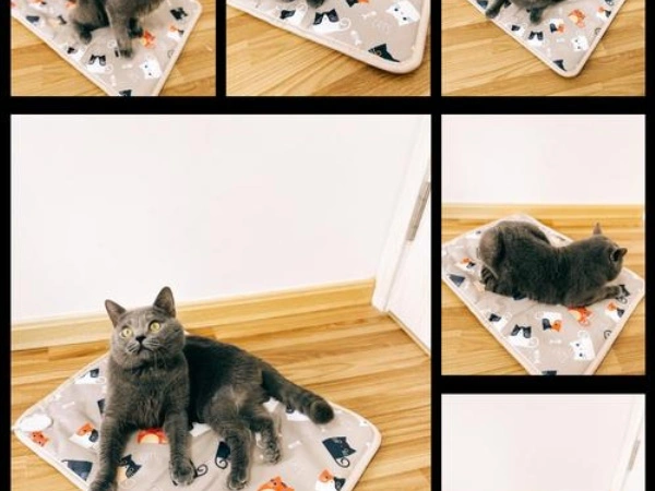 Grafenvarmefilm for klapp Grafenvarmefilm for klapp