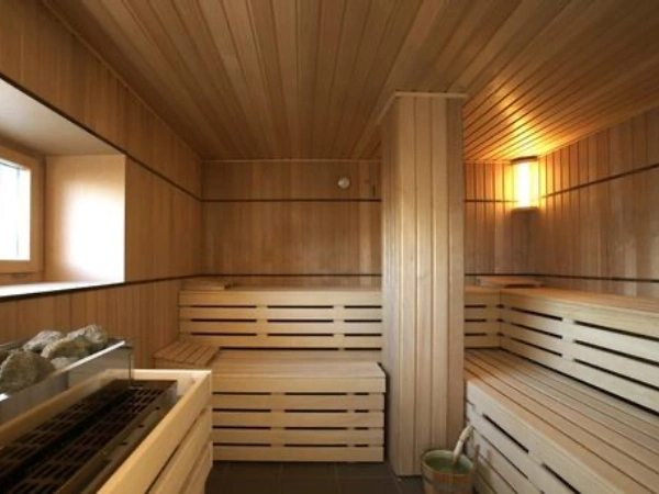 https://www.sxhheattech.com/graphene-sauna/large-graphene-sauna