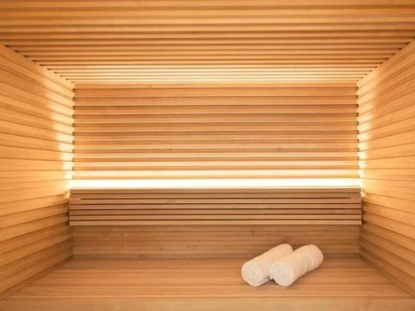 https://www.sxhheattech.com/graphene-sauna/household-low-carbon-graphene-sauna